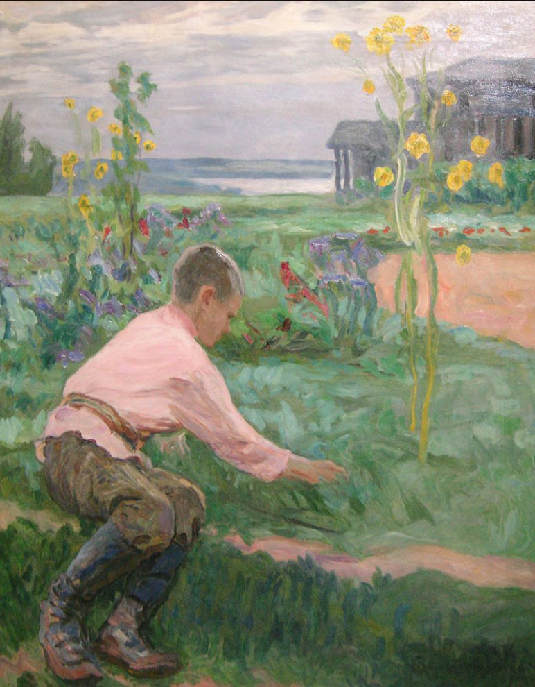 boy on a grass